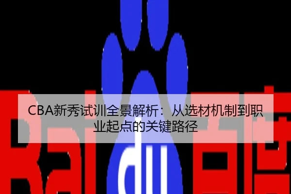 CBA新秀试训全景解析：从选材机制到职业起点的关键路径