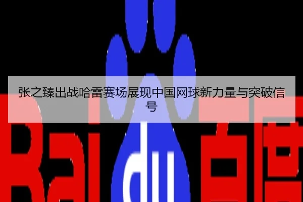 张之臻出战哈雷赛场展现中国网球新力量与突破信号