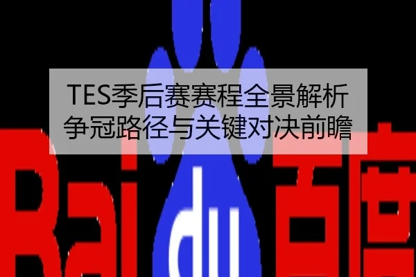 TES季后赛赛程全景解析 争冠路径与关键对决前瞻