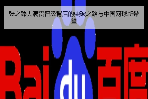张之臻大满贯晋级背后的突破之路与中国网球新希望